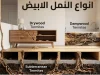 انواع النمل الابيض
