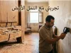 تجربتي مع النمل الأبيض
