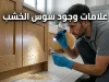 علامات وجود سوس الخشب