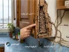 أسباب وجود النمل الابيض في البيت