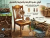أنواع حشرة الأرضة