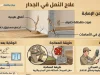 علاج النمل في الجدار