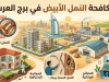 مكافحة النمل الأبيض في برج العرب