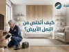 ازاي اتخلص من النمل الابيض؟