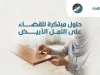 ما سبب ظهور النمل الأبيض