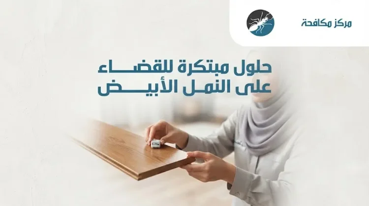 ما سبب ظهور النمل الأبيض