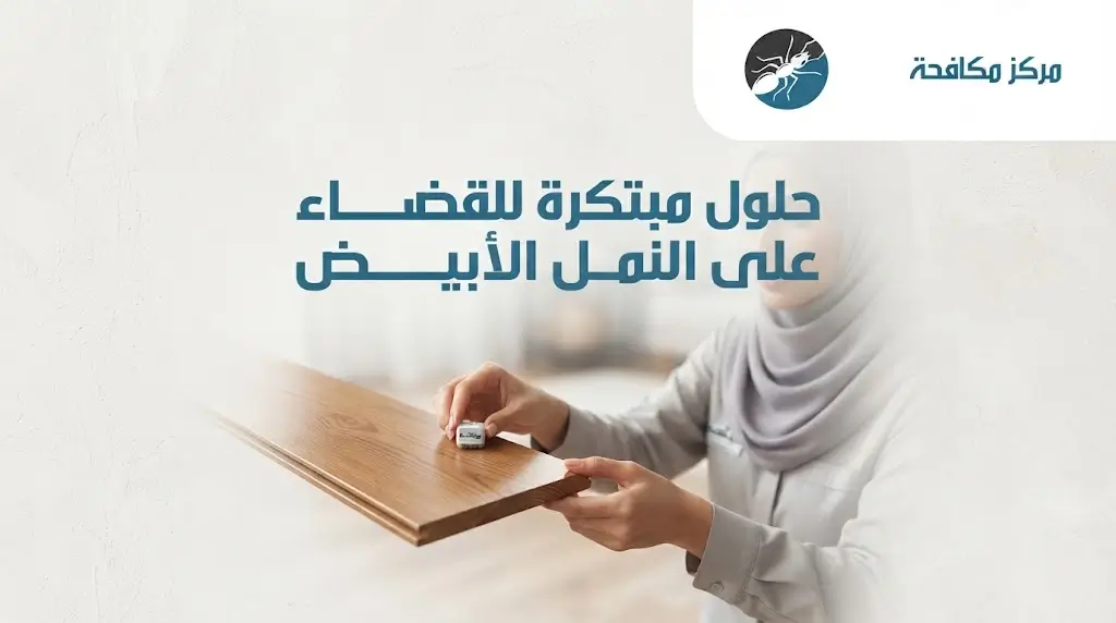 ما سبب ظهور النمل الأبيض
