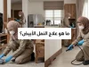 ما هو علاج النمل الأبيض؟