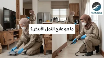 ما هو علاج النمل الأبيض؟