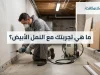 ما هي تجربتك مع النمل الأبيض