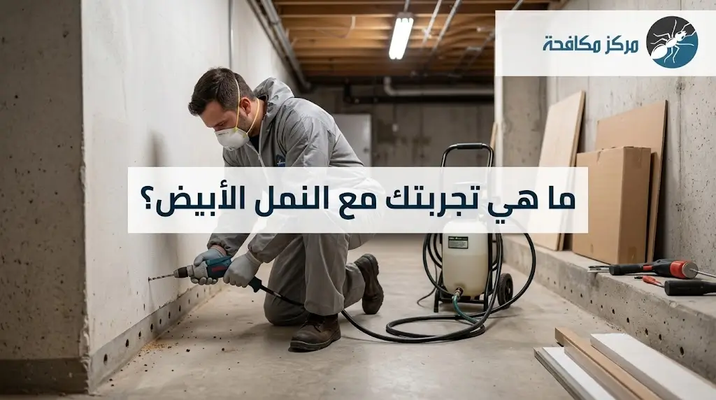 ما هي تجربتك مع النمل الأبيض