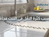 ما سبب كثرة النمل في البيت فجأة؟