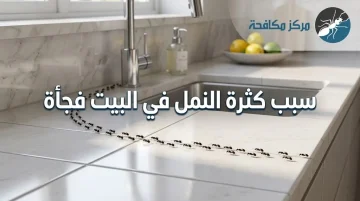 ما سبب كثرة النمل في البيت فجأة؟