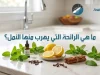 ما هي الرائحة التي يهرب منها النمل؟