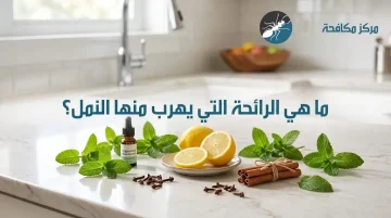 ما هي الرائحة التي يهرب منها النمل؟
